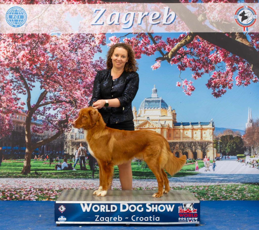 Of Bowmore Legend - WORLD DOG SHOW ZAGREB 2024