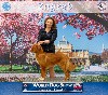  - WORLD DOG SHOW ZAGREB 2024